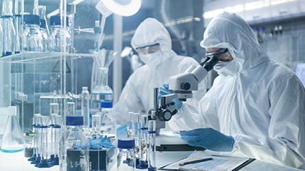 الدعم الفني الدعم الفني